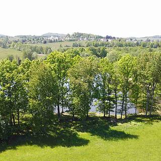 Prodej zemědělské půdy 1989 m&sup2; Šluknov