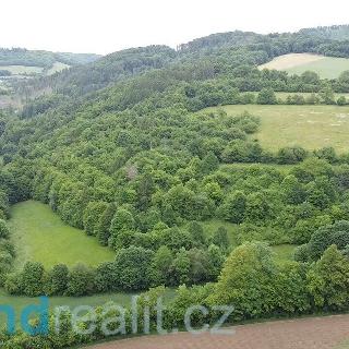 Prodej ostatního pozemku 30 636 m² Skorotice