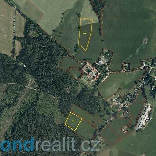 Prodej ostatních pozemků 25968 m² Králíky