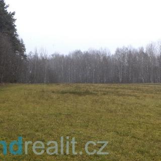 Prodej zemědělské půdy 22 308 m² Horní Planá