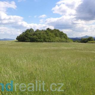 Prodej zemědělské půdy 6 766 m² Ústí nad Labem