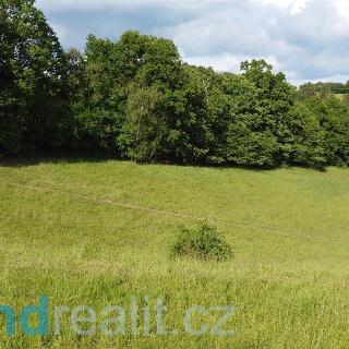 Prodej zemědělské půdy 2481 m² Zábřeh