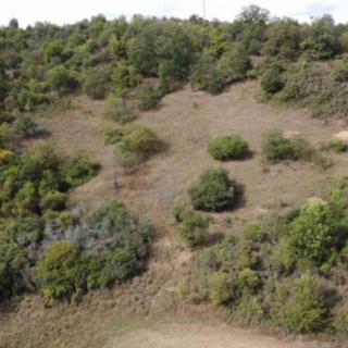 Prodej zemědělské půdy 22441 m&sup2; Řehlovice