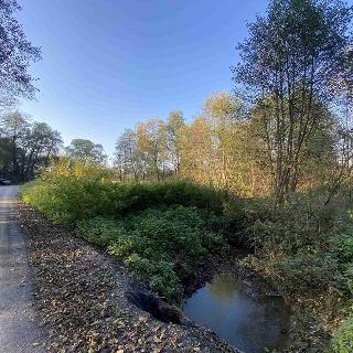 Prodej ostatních pozemků 1031 m² Třebařov