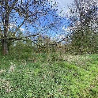 Prodej ostatních pozemků 621 m&sup2; Černčice