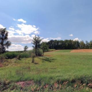 Prodej ostatních pozemků 5392 m&sup2; Nová Ves u Mladé Vožice