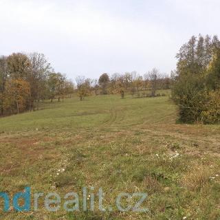 Prodej ostatních pozemků 6670 m² Nový Jičín