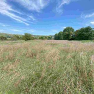 Prodej ostatních pozemků 782 m&sup2; Všenory