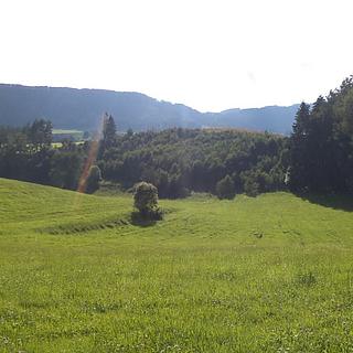 Prodej zemědělské půdy 71151 m&sup2; Dolní Dobrouč