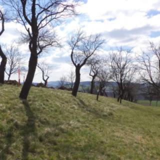 Prodej ostatních pozemků 984 m² Hluk