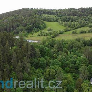 Prodej ostatních pozemků 5171 m² Rejštejn