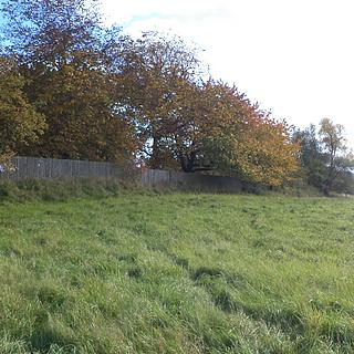 Prodej zemědělské půdy 6915 m&sup2; Habartice