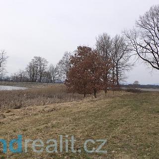 Prodej zemědělské půdy 1815 m&sup2; Dříteň