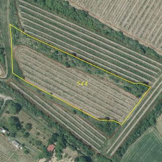 Prodej zemědělské půdy 12489 m² Michalovice