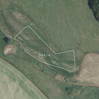 Prodej zemědělské půdy 4706 m&sup2; Nový Rychnov