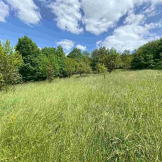 Prodej stavební parcely 2790 m&sup2; Nedašova Lhota