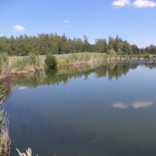 Prodej ostatních pozemků 1274 m&sup2; Stonava