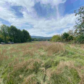 Prodej ostatních pozemků 601 m&sup2; Všenory