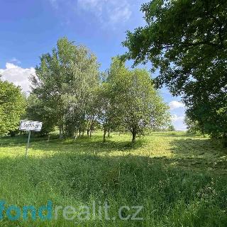 Prodej stavební parcely 1 182 m² Černošín