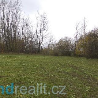 Prodej ostatních pozemků 4513 m² Leština