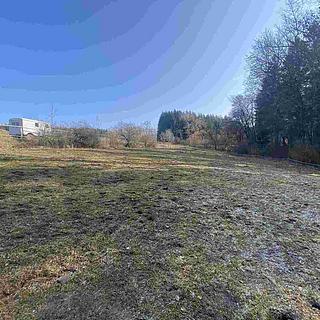 Prodej ostatních pozemků 1443 m&sup2; Syřenov