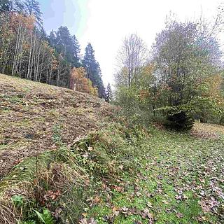 Prodej ostatních pozemků 2902 m&sup2; Hartmanice