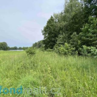 Prodej ostatních pozemků 1639 m&sup2; Čejetice