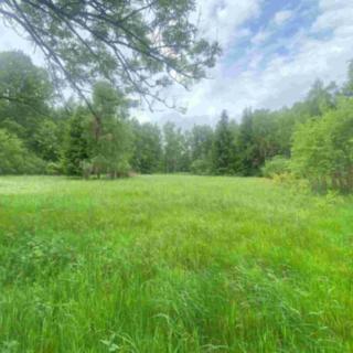 Prodej ostatního pozemku 3 443 m² Horní Planá Bližší Lhota, Zvonková