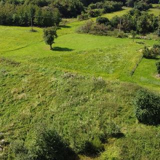 Prodej ostatního pozemku 4 670 m² Žlutice