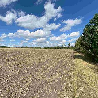 Prodej ostatních pozemků 1857 m&sup2; Nový Bydžov