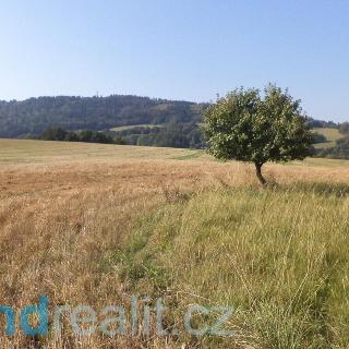 Prodej ostatního pozemku 1 013 m² Chuchelna