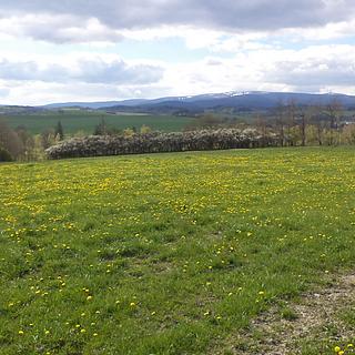 Prodej ostatních pozemků 10063 m² Staré Město