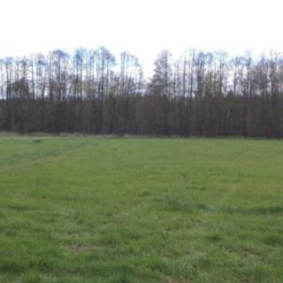 Prodej zemědělské půdy 45 730 m² Tachov