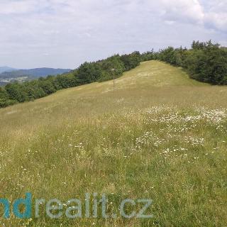 Prodej zemědělské půdy 32222 m² Mírová pod Kozákovem