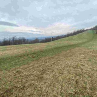 Prodej ostatních pozemků 2000 m² Mírová pod Kozákovem