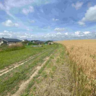 Prodej ostatních pozemků 6926 m&sup2; Kamenná Horka