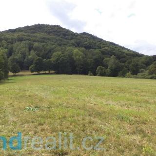 Prodej ostatního pozemku 97 180 m² Zubrnice