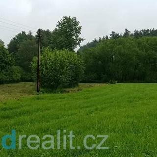 Prodej ostatního pozemku 3 597 m² Borovany