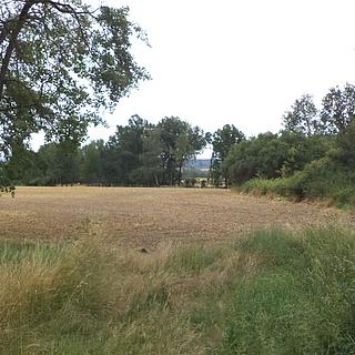 Prodej zahrady 1100 m&sup2; Heřmanova Huť