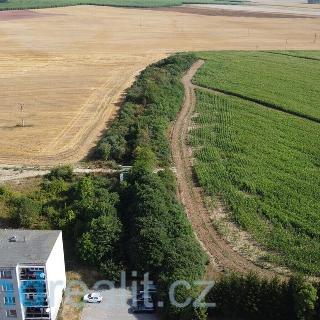 Prodej ostatního pozemku 6 167 m² Žihle