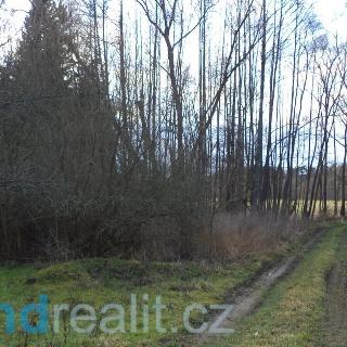 Prodej ostatního pozemku 4 351 m² Kočov