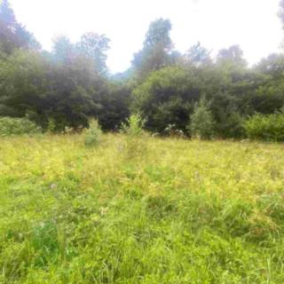 Prodej stavební parcely 1004 m&sup2; Mladkov