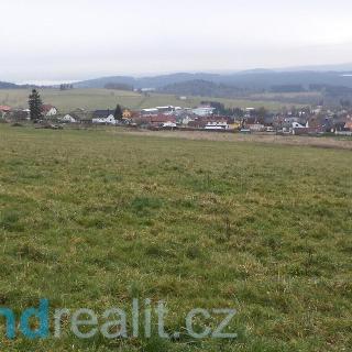 Prodej zemědělské půdy 45 926 m² Horní Planá