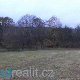 Prodej ostatního pozemku 9 316 m² Puclice