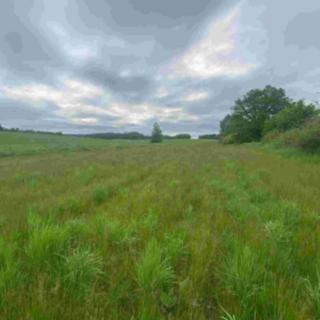 Prodej zemědělské půdy 3 483 m² Žimutice