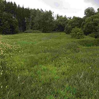 Prodej zemědělské půdy 22334 m&sup2; Chýnov