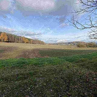 Prodej zemědělské půdy 1577 m&sup2; Truskovice