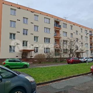 Prodej bytu 3+1 64 m² Pardubice, Družstevní