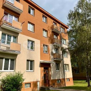 Prodej bytu 1+kk a garsoniéry 21 m² Teplice, Zrenjaninská