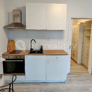 Prodej bytu 1+kk a garsoniéry 23 m² Praha, Holečkova